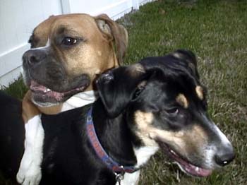Best Buds  CloseUp