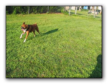 CRW_6098_RT8