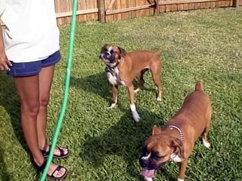 Lexie & Daisy