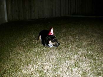Lucy Birthday 