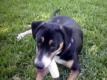 Lucy Bone 2