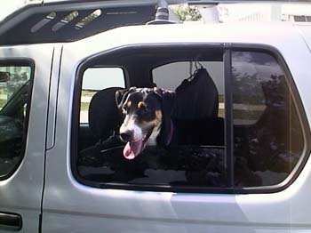 Lucy Car 2