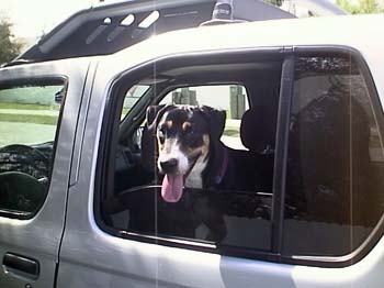 Lucy Car