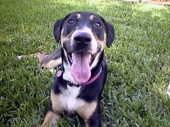 Lucy!