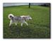 CRW_6205_RT8