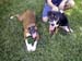 Daisy & Lucy