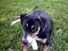 Lucy Bone 2