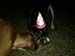 Lucy and Daisy Share 