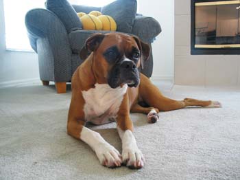 Lounging2
