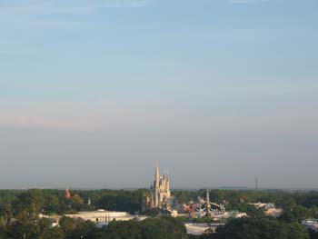 IMG_7785