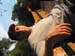 IMG_8702