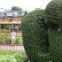 IMG_4069