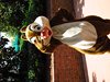 IMG_6285